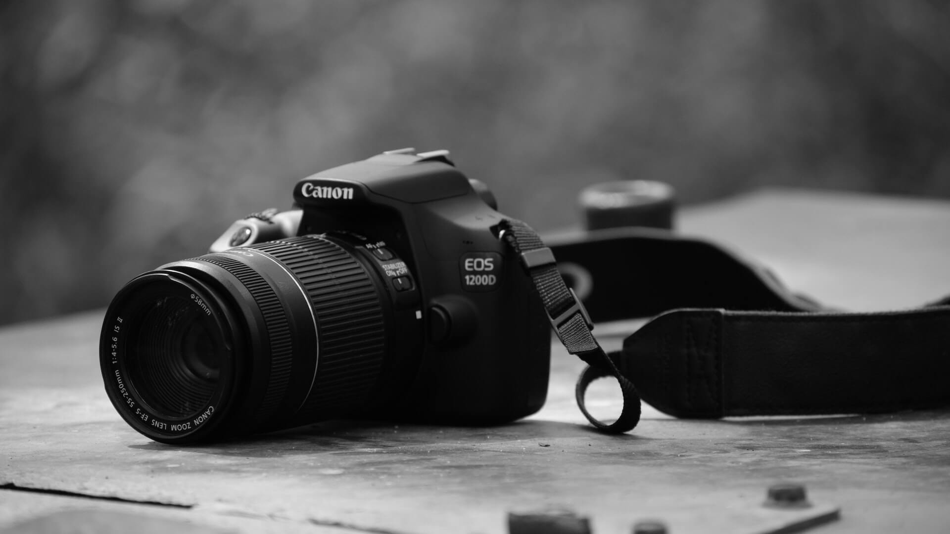 A Guide To Understanding Digital Camera Modes
