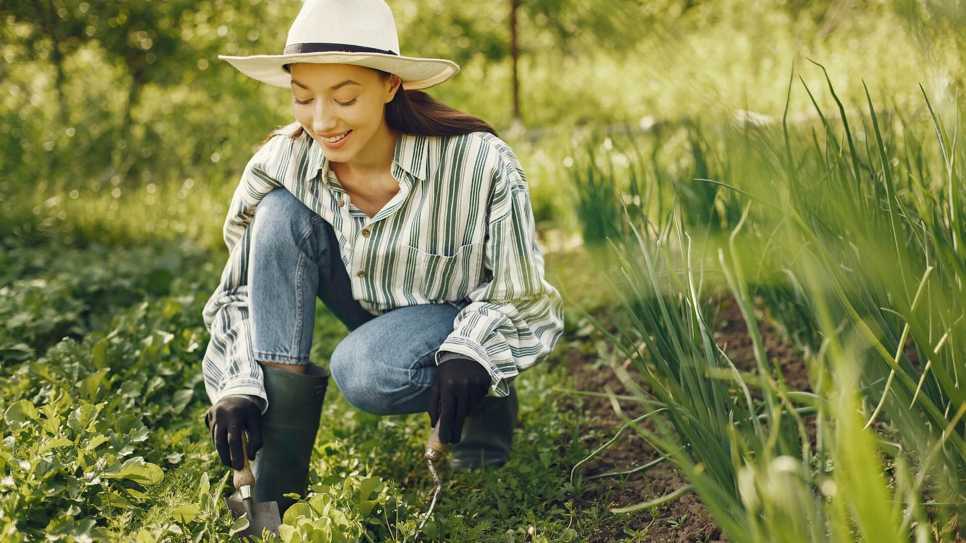 A Beginner's Guide To Gardening Success