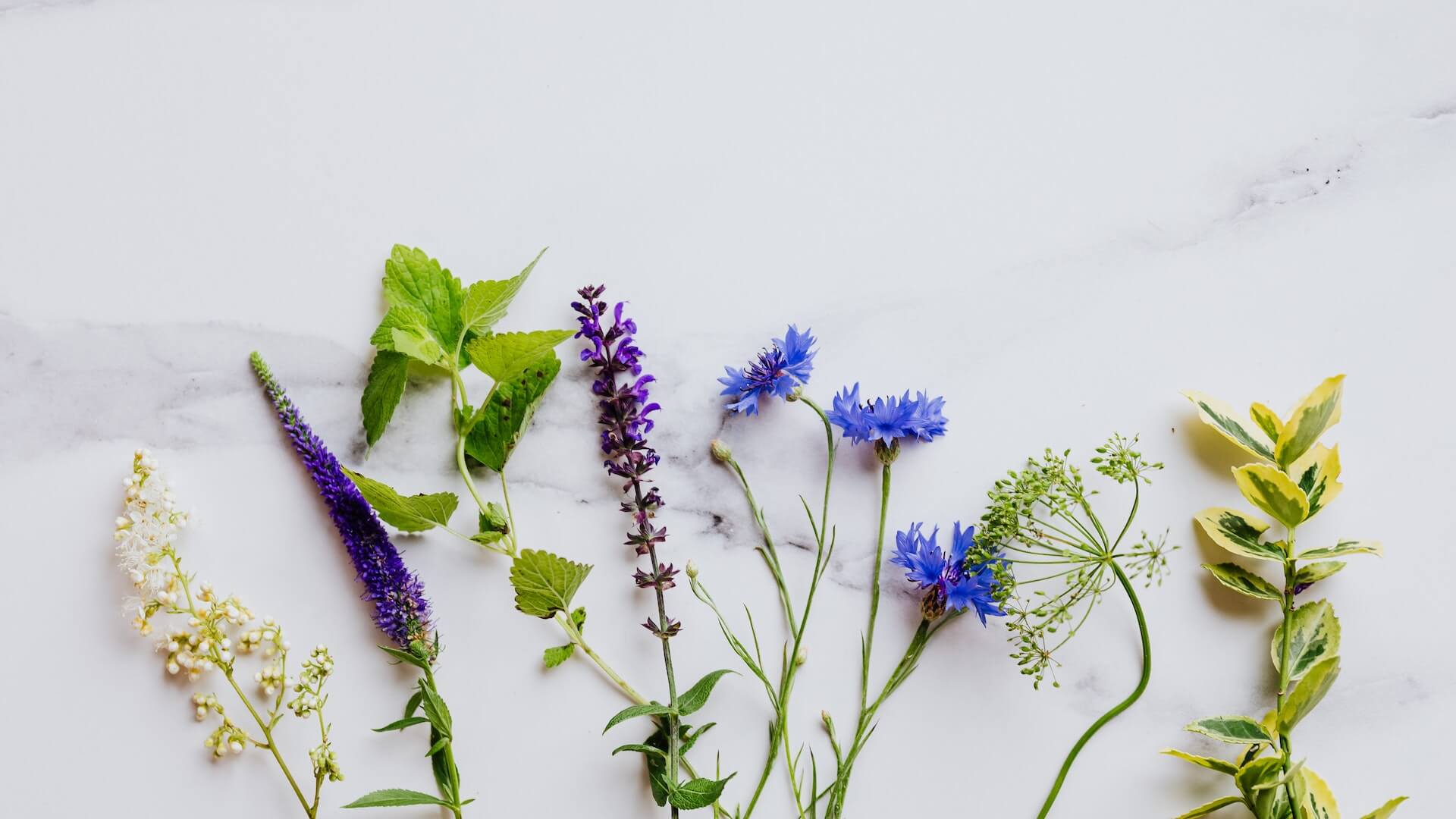 Discovering The Healing Power Of Herbalism: A Journey Into Natural Remedies