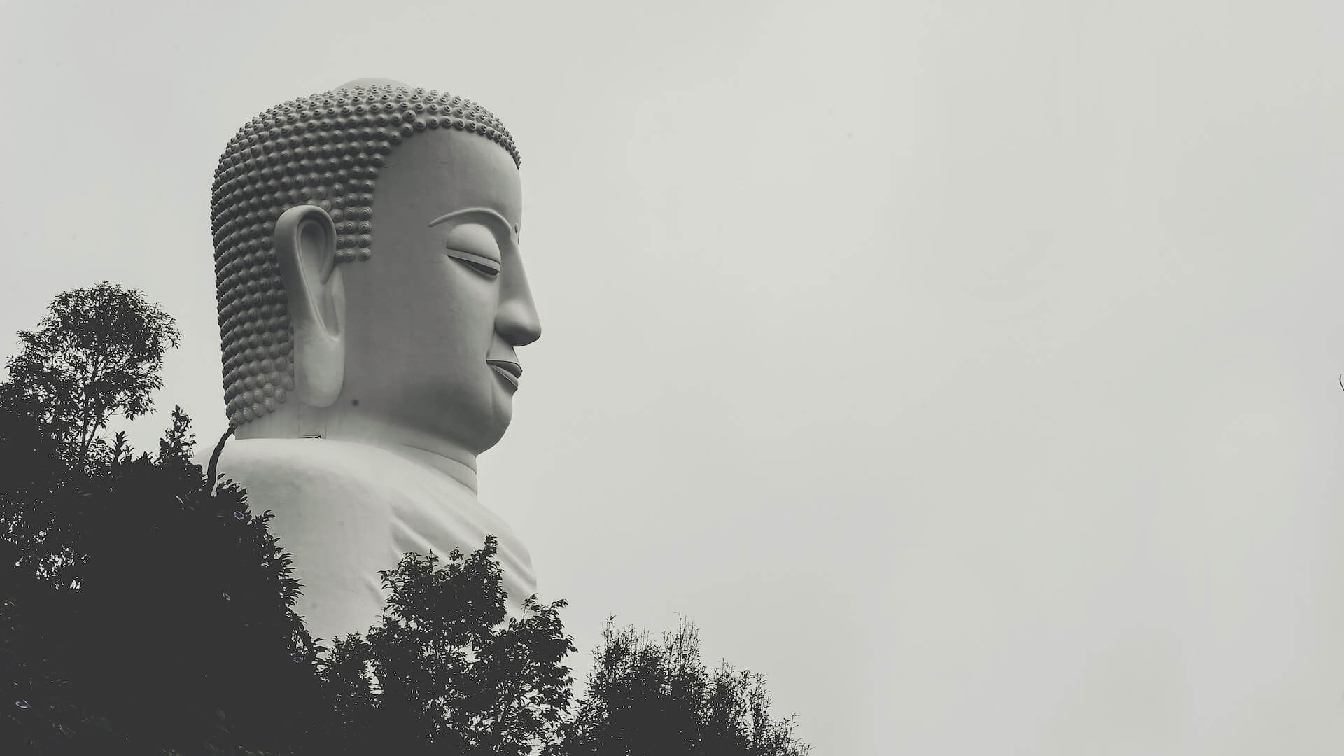 Exploring The Core Principles Of Buddhism: A Path To Inner Peace