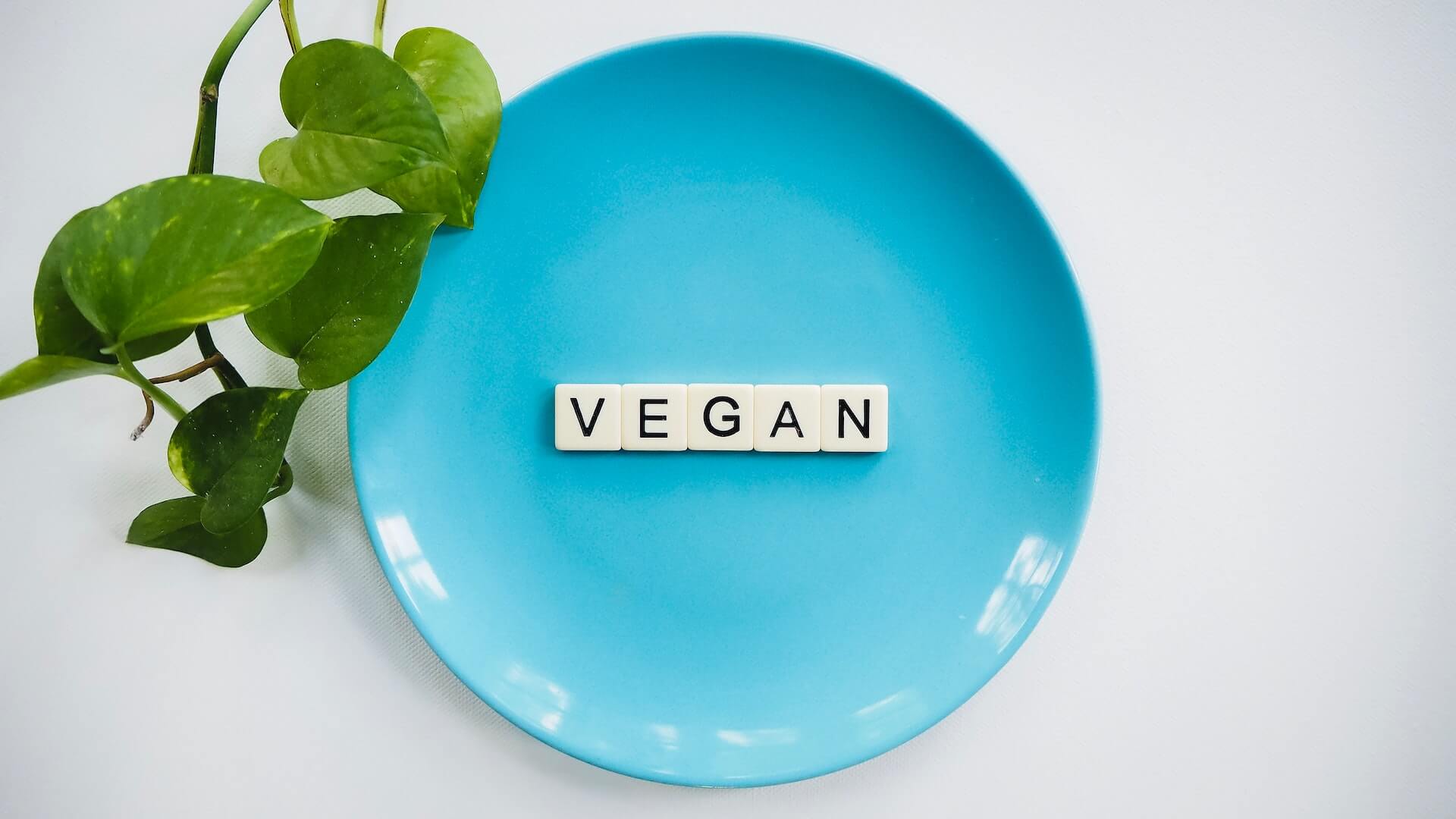 The Ultimate Guide To Embracing A Delicious Vegan Lifestyle